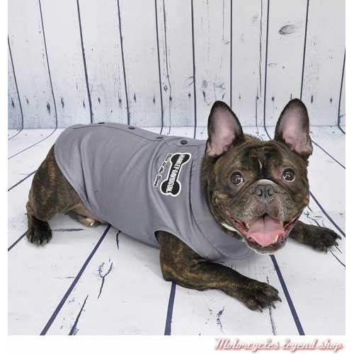 Chemise pour chien Harley-Davidson, gris, visuel, H2100-H-GYW