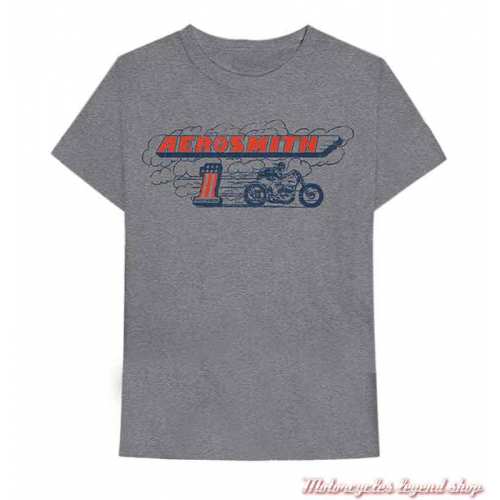 Tee-shirt Aerosmith Burnout Harley-Davidson homme, gis, manches courtes, coton, 40290578