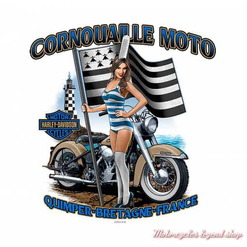 Tee-shirt Flannigan II Harley-Davidson homme, noir, manches courtes, backprint Cornouaille Moto Quimper Bretagne, R004016