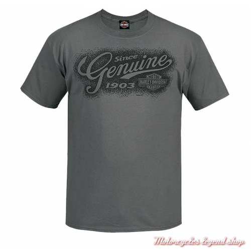 Tee-shirt Spray Genuine Harley-Davidson homme, gris, manches courtes, Cornouaille Moto Quimper Bretagne, R003574