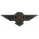 Pin's USA Aviator Wings Harley-Davidson