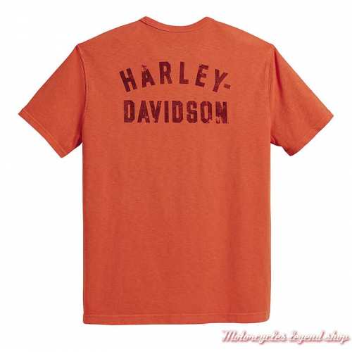Tee-shirt Eagle Harley-Davidson homme, orange, manches courtes, coton, dos, 96057-23VM