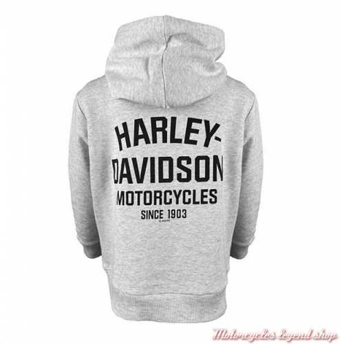 Sweatshirt à capuche garçon Harley-Davidson, gris clair, coton, bouclette, polyester, dos, 6570215, 6580215, 6590215