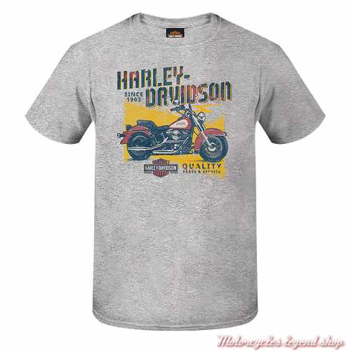 Tee-shirt Strike Vintage Harley-Davidson homme, gris, manches courtes, Cornouaille Moto Quimper Bretagne, R004429