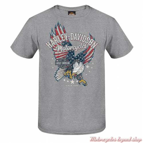 Tee-shirt Flying Patriot Harley-Davidson homme