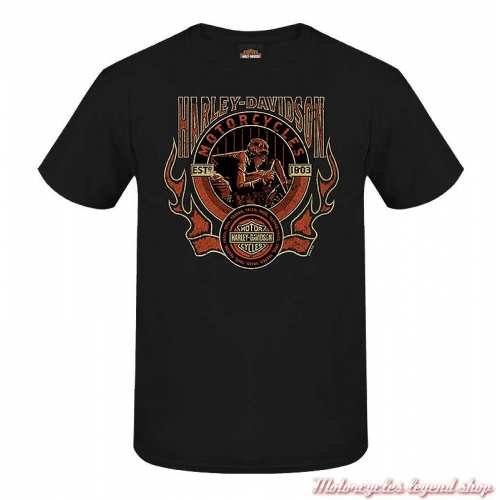 Tee- shirt Heat Harley-Davidson homme