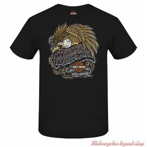 Tee-shirt Eagle Label Harley-Davidson homme