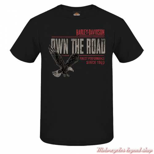 Tee- shirt Down It Harley-Davidson homme, noir, manches courtes, Cornouaille Moto Quimper Bretagne, R004457
