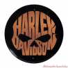 Plaque métal Copper Skull Harley-Davidson