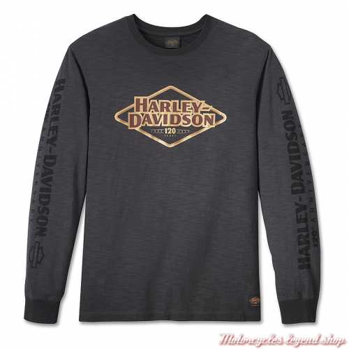 Tee-shirt 120th Anniversary Harley-Davidson homme, manches longues, gris, coton, 96548-23VM