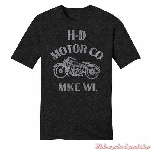 Tee-shirt Vintage Spirit Harley-Davidson homme