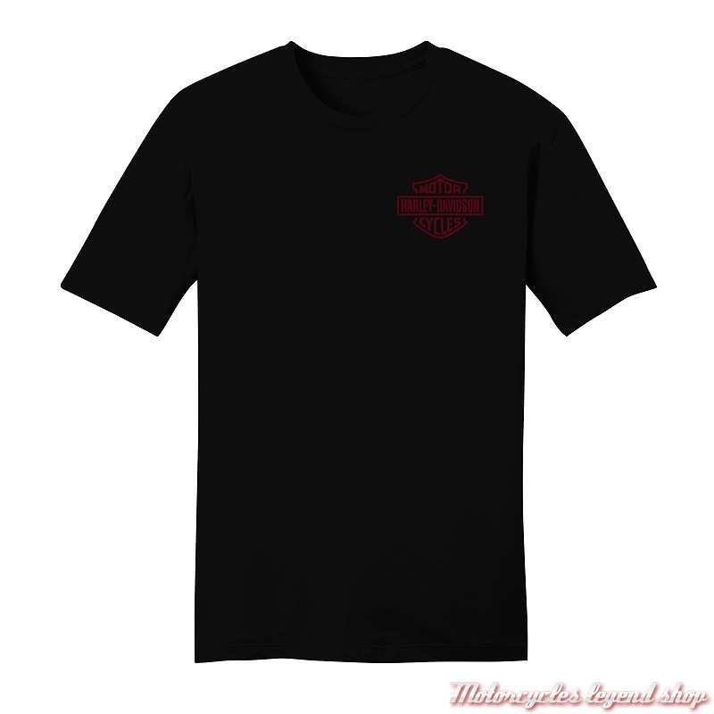 Tee- shirt Worldwide Harley-Davidson homme, noir, manches courtes, coton, 96576-23VM