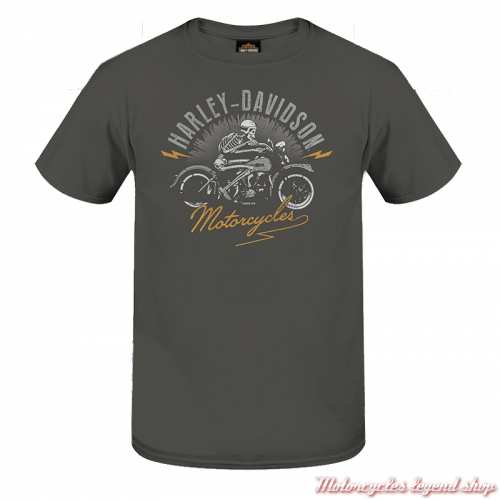 Tee-shirt Zippy Harley-Davidson homme, gris, manches courtes, coton, Cornouaille Moto Quimper Bretagne, 3000341 