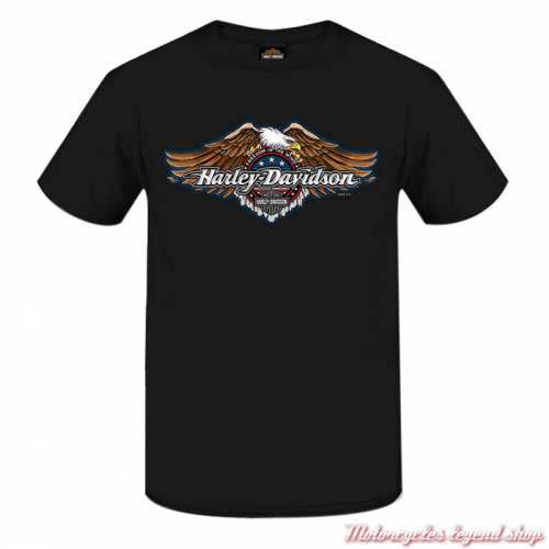 Tee-shirt Freedom Wind Harley-Davidson homme, noir, manches courtes, coton, Cornouaille Moto Quimper Bretagne, 3000288