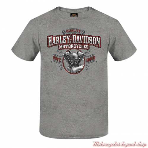 Tee-shirt Pan Logo Harley-Davidson homme, gris, manches courtes, coton, Cornouaille Moto Quimper Bretagne, 3000750