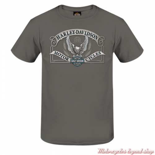 Tee-shirt Box Eagle Harley-Davidson homme, gris, manches courtes, coton, Cornouaille Moto Quimper Bretagne, 3000643