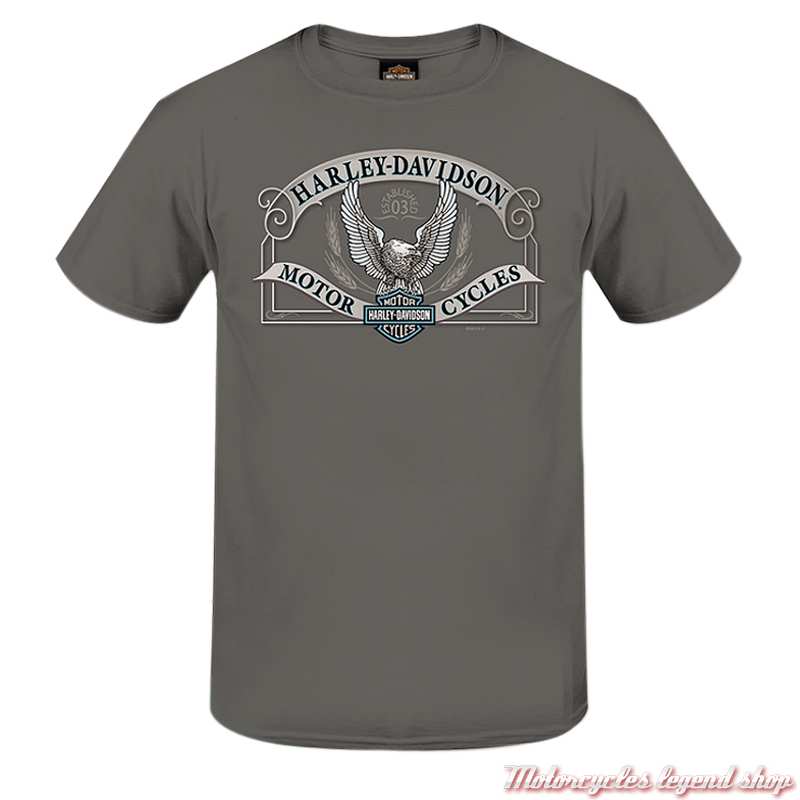 Tee-shirt Box Eagle Harley-Davidson homme, gris, manches courtes, coton, Cornouaille Moto Quimper Bretagne, 3000643