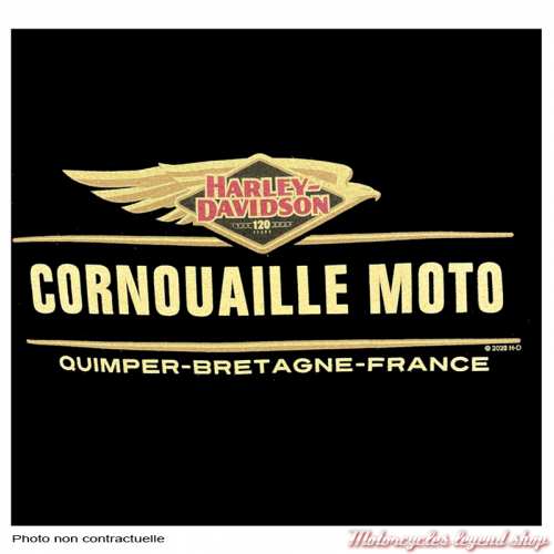 Tee-shirt Eagle 120th Anniversary Harley-Davidson homme, blanc, manches courtes, Cornouaille Moto Quimper, dos, 3001671