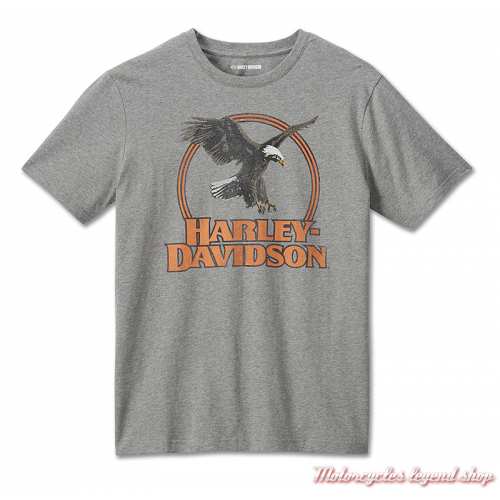 T- shirt Monument Valley Aigle Harley-Davidson homme, coton, gris, manches courtes, 96534-24VM