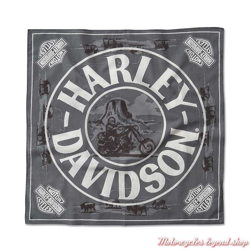 Bandana Sturgis Harley-Davidson, gris, coton, 55 x 55 cm, 97749-24VM