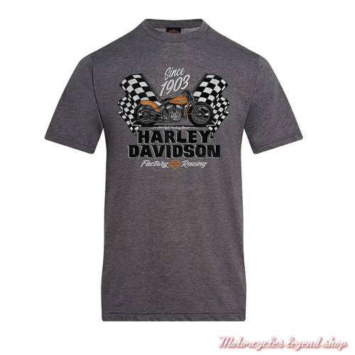 Tee-shirt Factory Harley-Davidson homme Cornouaille Moto Quimper Bretagne, gris, manches courtes, coton, 40294918 