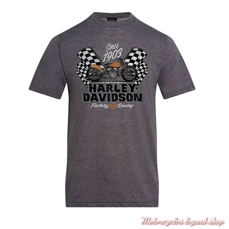 Tee-shirt Factory Harley-Davidson homme Cornouaille Moto Quimper Bretagne, gris, manches courtes, coton, 40294918 