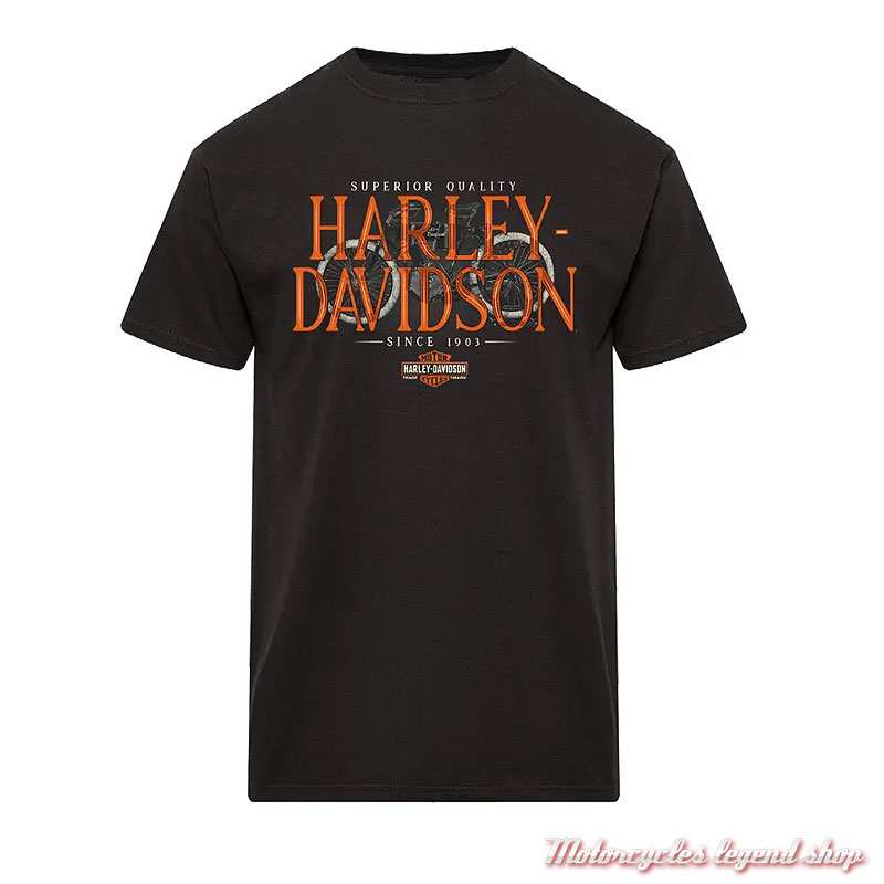 Tee-shirt Genesis Harley-Davidson homme Cornouaille Moto Quimper Bretagne, noir, manches courtes, coton, 40294920