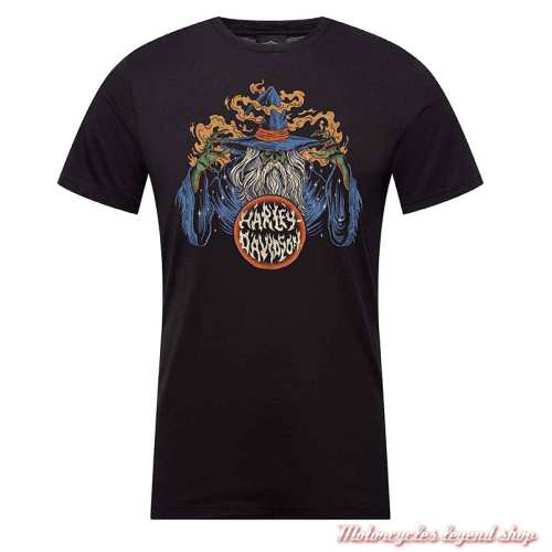 Tee-shirt Merlin Harley-Davidson homme Cornouaille Moto Quimper Bretagne, noir, manches courtes, coton, 40294921
