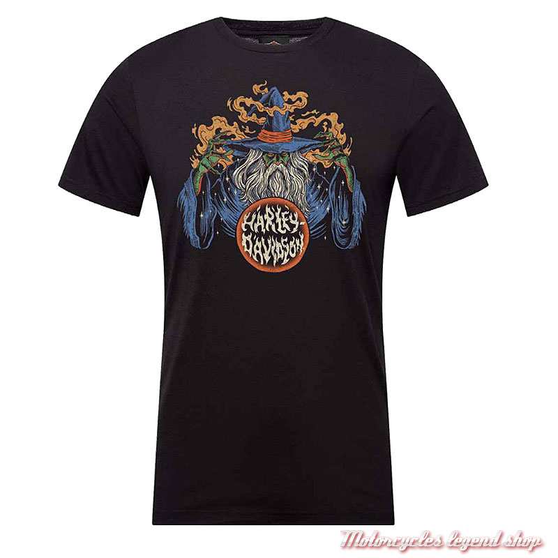 Tee-shirt Merlin Harley-Davidson homme Cornouaille Moto Quimper Bretagne, noir, manches courtes, coton, 40294921