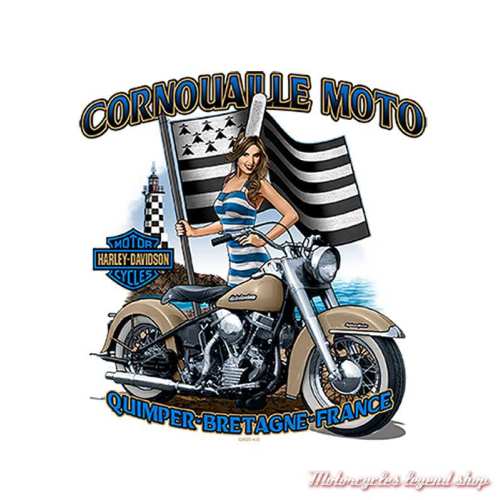 Tee-shirt Wolfman Harley-Davidson homme, backprint Cornouaille Moto Quimper Bretagne, gris, manches courtes, coton, 40294922