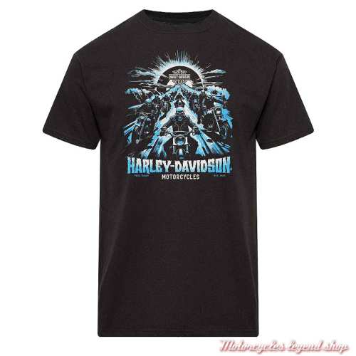 Tee-shirt Troop Harley-Davidson homme Cornouaille Moto Quimper Bretagne, noir, manches courtes, coton, 40294933