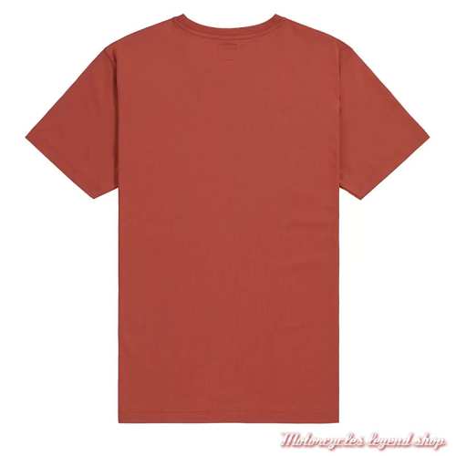 Tee-shirt Cartmel Rust homme Triumph, rouille, manches courtes, coton, dos, MTSS26212