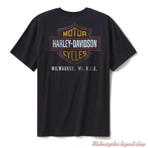 Tee-shirt Stars &amp; Stripes Eagle Harley-Davidson homme, noir, manches courtes, coton, dos, 96173-26VM