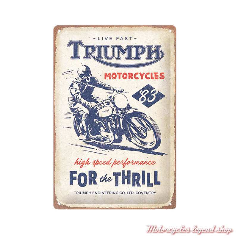 Plaque métal For The Thrill Triumph, ecru, bleu, rouille, 30 x 20 cm, MLMA26905
