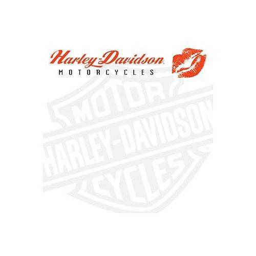 Bloc note cube American Beauties, 700 feuilles, Pin&#039;up, Harley-Davidson HDL-20103