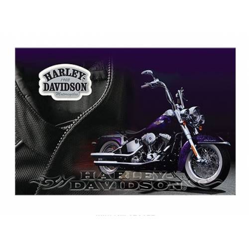 Pin's H-D + carte postale, moto, féminin, enveloppe, Harley-Davidson 181133