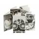 Cartes postales Monochrome Triumph