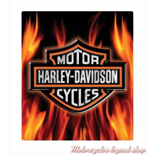 Plaque métal Flame Logo Harley-Davidson