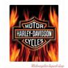 Plaque métal Flame Logo Harley-Davidson