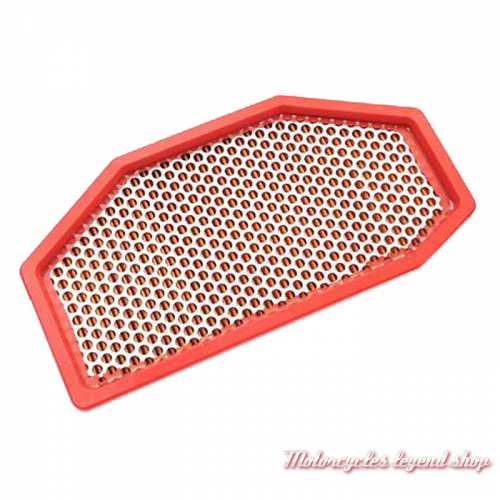 Filtre à air Triumph, pour Speed Triple, T2206602