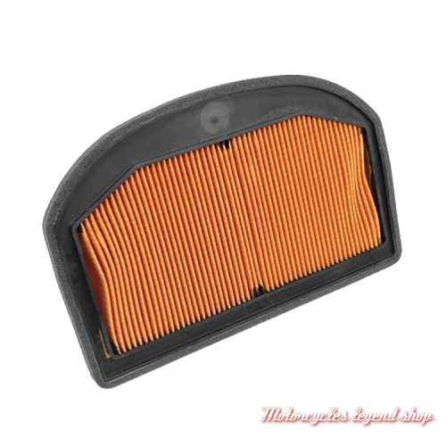 Фильтр тайгер. Air Filter t2209555. Воздушный фильтр для Triumph Tiger Explorer 1200. Фильтр воздушный Триумф Тигер 1050 2007г. Воздушный фильтр для Триумф Тайгер 900.