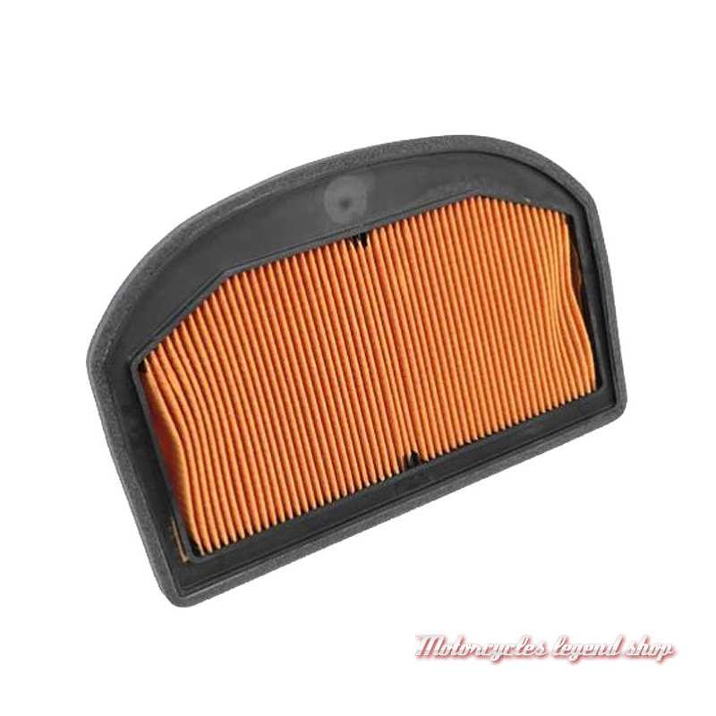 Filtre à air Triumph, pour Tiger Explorer et Tiger 1200, T2209555