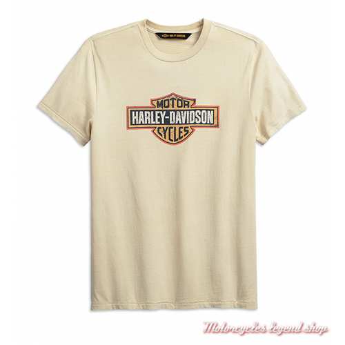 Tee-shirt Harley-Davidson Crackle Logo écru homme