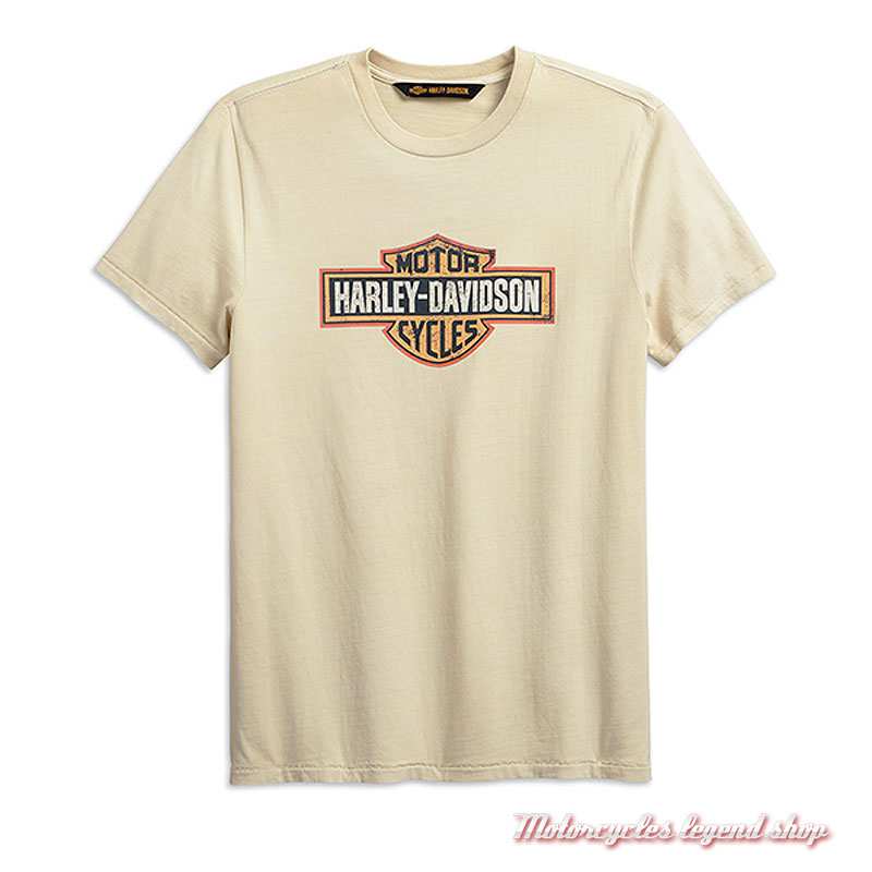 Tee-shirt Crackle Logo écru Harley-Davidson homme, manches courtes, gris foncé, coton, 99001-19VM