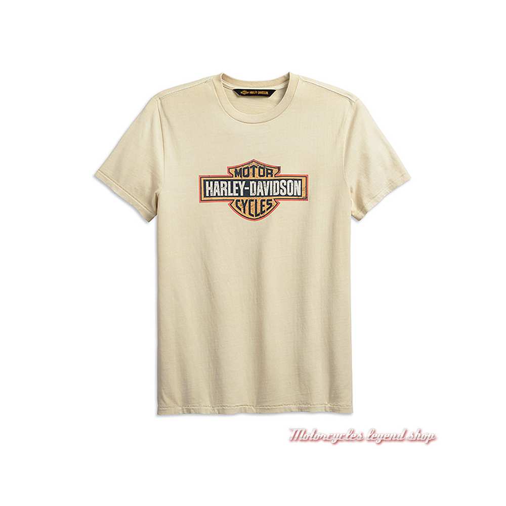 Tee-shirt Crackle Logo écru Harley-Davidson homme, manches courtes, gris foncé, coton, 99001-19VM