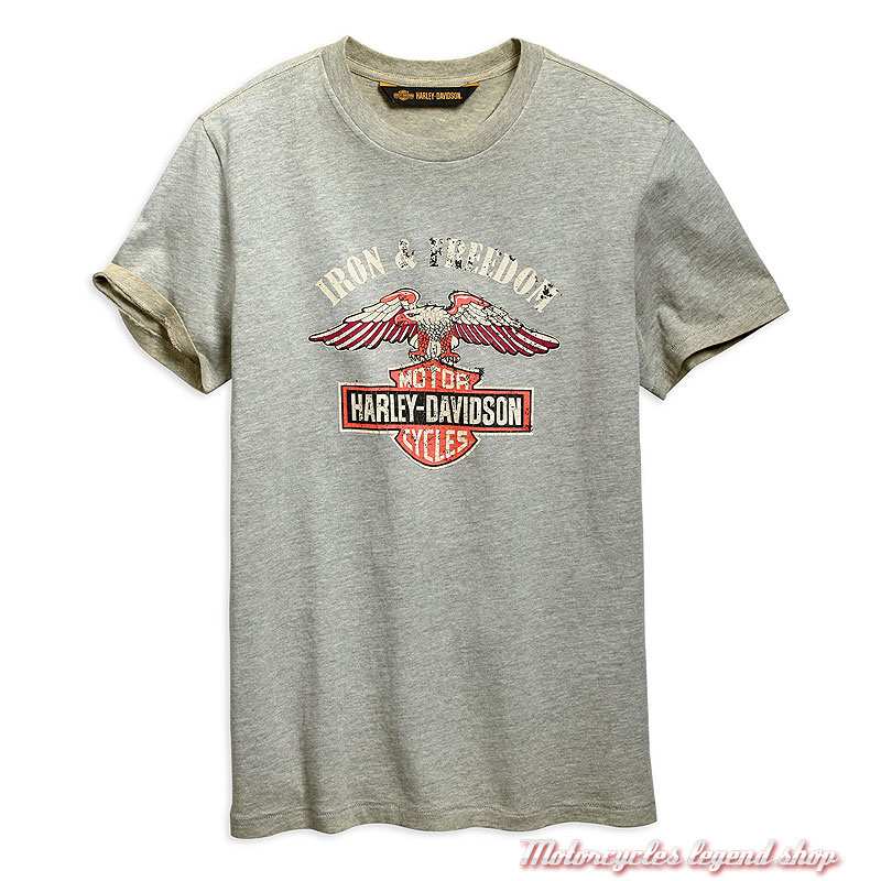 Tee-shirt Iron & Freedom Harley-Davidson homme, gris délavé, manches courtes, coton, 96667-19VM