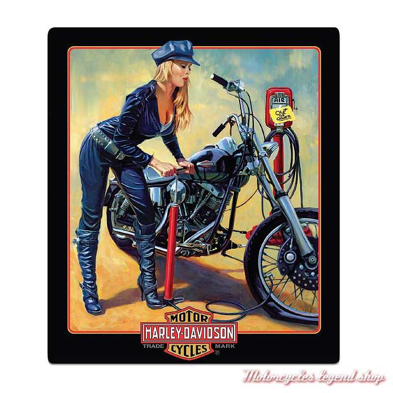 Plaque Metal Pumper Up Babe Harley Davidson Motorcycles Legend Shop Plaque Metal Pumper Up Babe Harley Davidson Motorcycles Legend Shop
