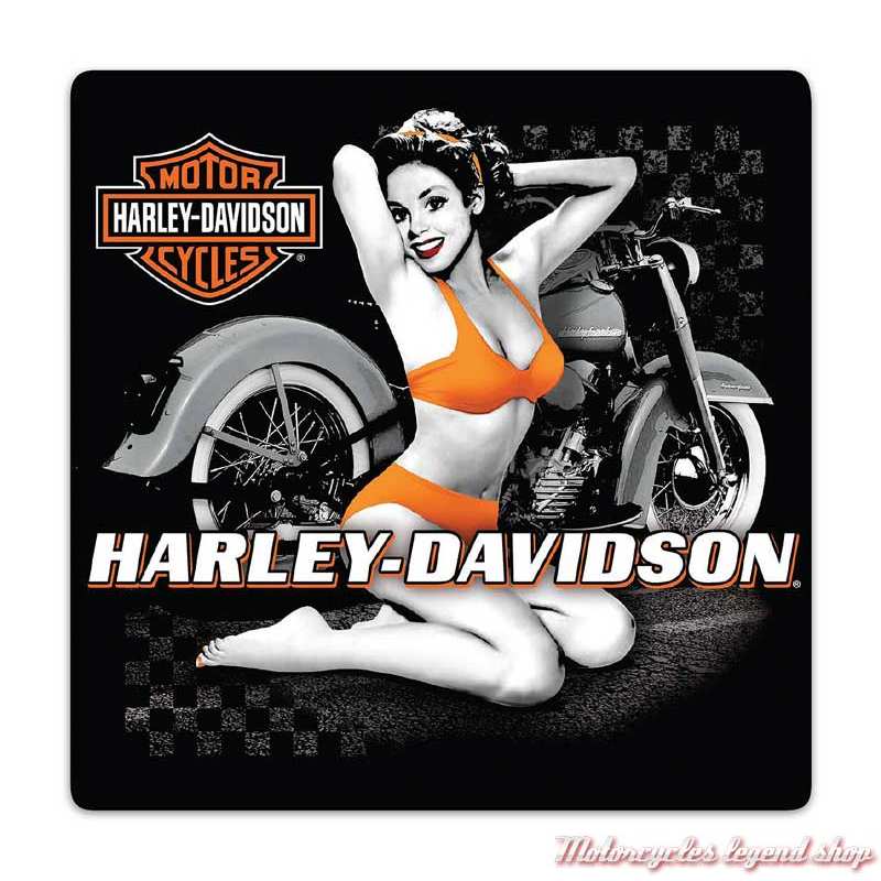 Plaque métal Flash Babe Harley-Davidson, Ande Rooney 2012021